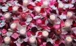 4000 Silk Rose Petals