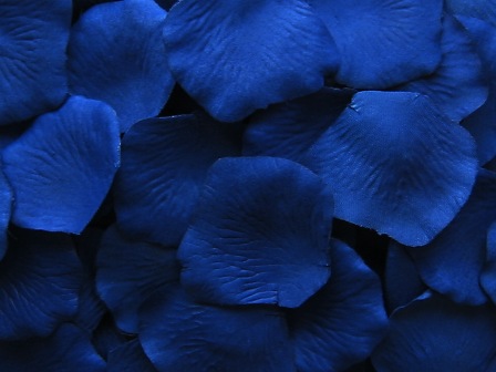 Blue petals