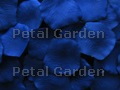 Blue Silk Rose Petals