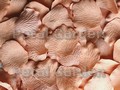 Cashmere Silk Rose Petals