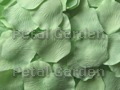 Celadon Silk Rose Petals