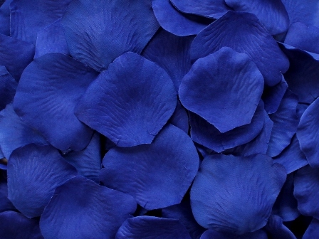 Cobalt silk rose petals