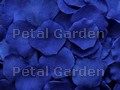 Cobalt Silk Rose Petals