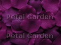 Concord Silk Rose Petals