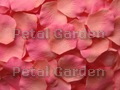 Silk floating rose petals, Coral