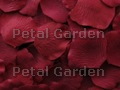 Crimson Silk Rose Petals