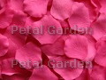 Silk floating rose petals, Hot Pink