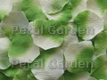 Ivory w/ Green Silk Rose Petals