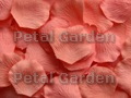 Melon Silk Rose Petals