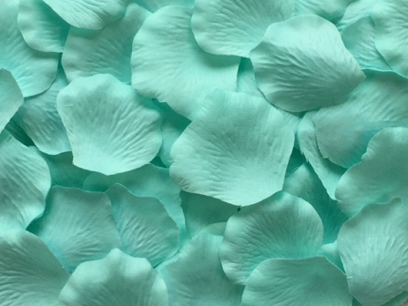 Mint  silk rose petals