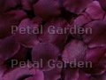 Plum Silk Rose Petals