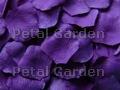 Silk floating rose petals, Purple