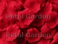 Red Silk Rose Petals