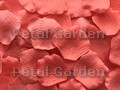 Sorbet Silk Rose Petals