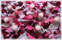 Valentine Mix of silk rose petals