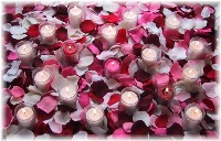 Valentine Mix of silk rose petals