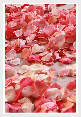 Silk Rose Petals